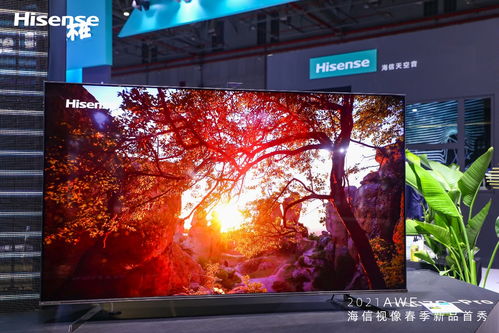 海信电视携手《影之刃零》打造全球独家视听盛宴