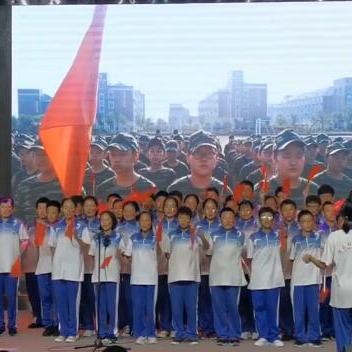 《风帆纪元》新手攻略：轻松入坑，畅游航海新纪元