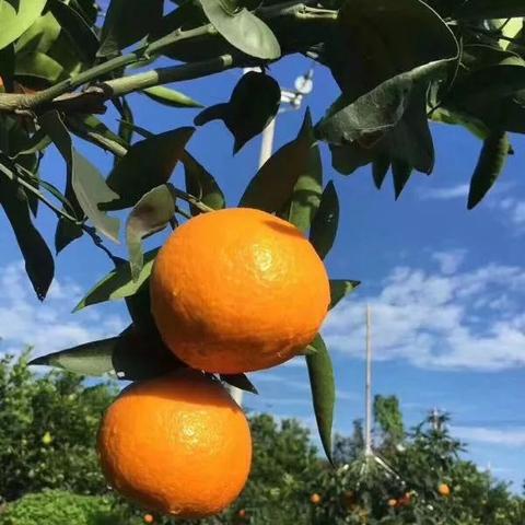 江湖奇遇！解锁《江湖十一》范仲淹副本新秘境