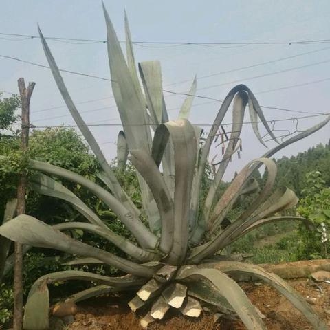 辐射3图文攻略，现在看还来得及！隐藏结局解锁+最强武器获取全流程