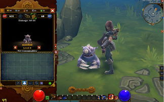 火炬之光2宠物技能真能逆天？最强搭配+隐藏机制实战全揭秘