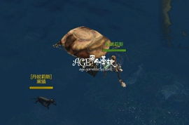 蚀像寻遗攻略：深度解析寻遗玩法，体验全新探险之旅