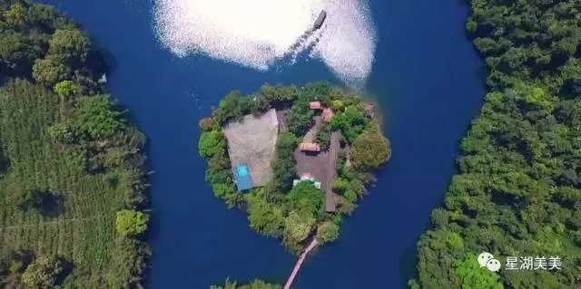 森林密码，鲜为人知的3个隐藏暗码，助你在迷雾森林活过7天