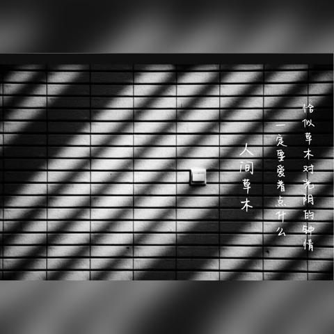 午夜行者核心玩法揭秘：沉浸式潜行新体验