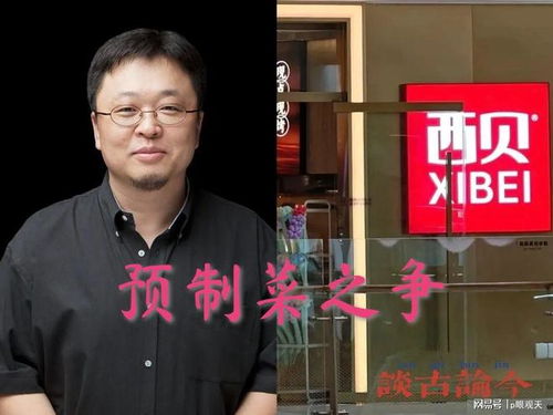罗永浩犀利点评西贝预制菜，央视发声引发舆论新热度
