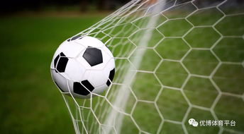 足球经理2013骨灰级玩家揭秘，遗珠妖人+保级战术实战秘籍