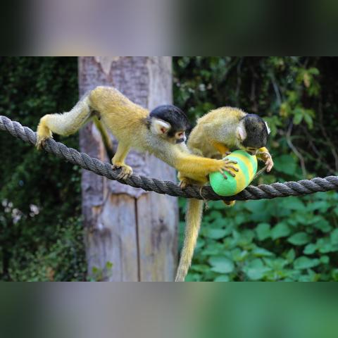 伦敦奥运会2012，游戏里被遗忘的隐藏彩蛋，现在还能解锁吗？