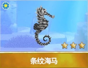 2月6日欢乐探秘，潜水员戴夫邀你畅游深海奇境