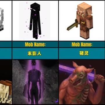 巨物控美少女图鉴：探索神秘新领域