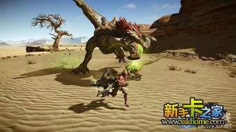 狼鸟有多恐怖？老猎人揭秘3分钟破防的隐藏弱点与速通战术