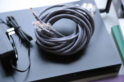 四号谷地电线滑索组网攻略，揭秘高效组网新价值