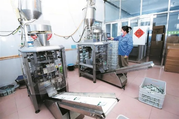 全自动荞花粉末机革新蓝图，揭秘高效炼制新篇章