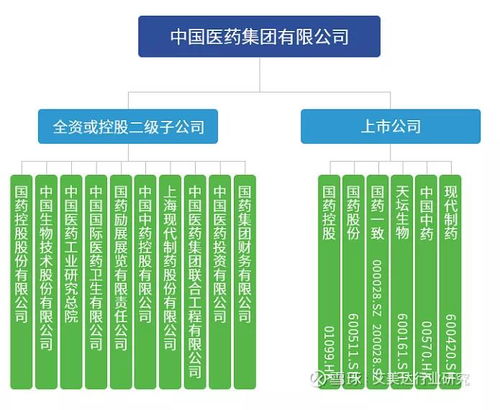 紫药蓝图解析：揭秘高效生产新攻略