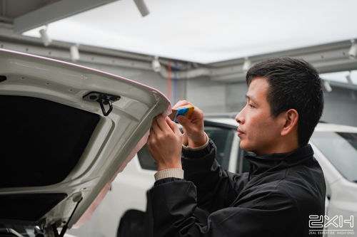 新加坡共享汽车刮漆赔偿6万，新车改色竟如此昂贵！