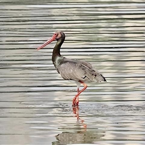 东亚游戏盛宴：盘点2023年度爆款《无限大》领衔六款佳作