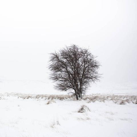三天广告速递，复活牢大秘籍大公开！