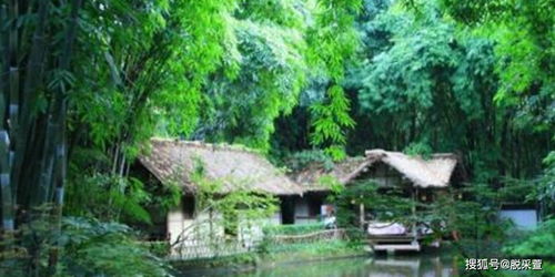 60秒！核爆前最后一分钟，你真的会捡物资吗？