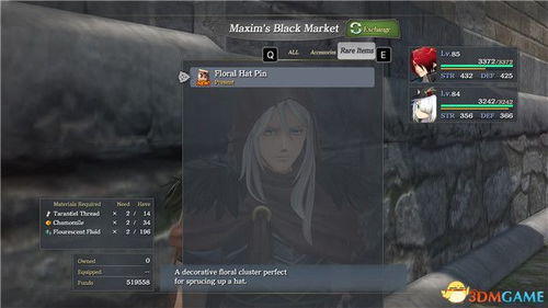 伊苏7全收集攻略，隐藏道具+伙伴好感+成就解锁，你还漏了哪些？