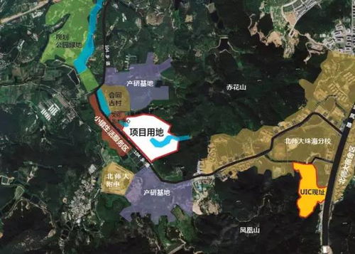 谷地毕业蓝图解析：揭秘四号谷地高效基建布局新策略
