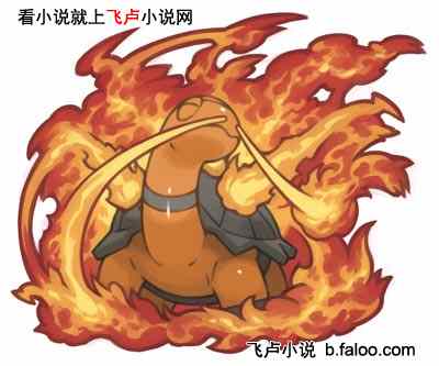 双打煤炭龟空间喷火队揭秘：宝可梦朱紫独家战术解析