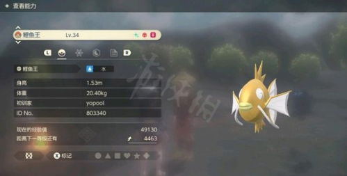 为什么职业玩家都带百变怪？Gen9隐藏机制+闪光捕捉技巧，看完立马上分！