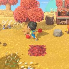 任天堂2月5日直面会揭晓！揭秘开年第三波游戏盛宴