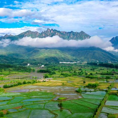 黄山景区回应飞虫冲脸！玩家私藏的避虫神操作你知道吗？
