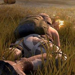 荒野PC性能补丁实测：帧率稳定提升，体验再升级