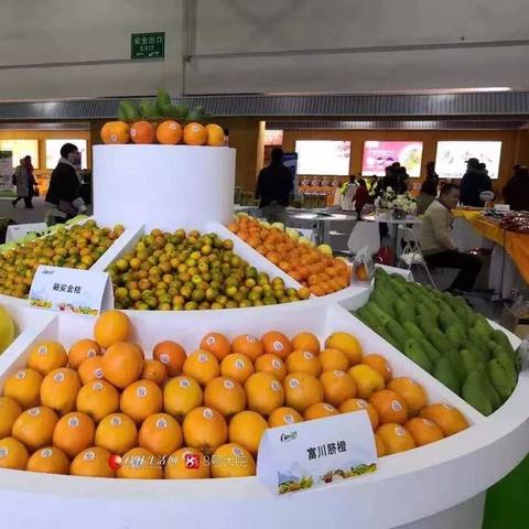 抢购倒计时！今晚11点前，任亏券限时发售，错过再无！