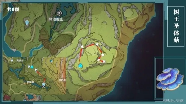柯莱突破必备！王圣体菇高效采集路线攻略分享
