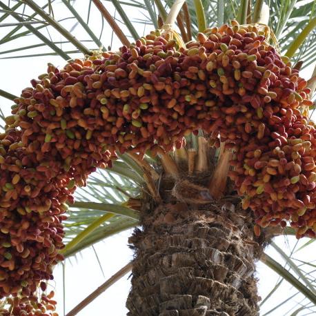 《红色沙漠》深藏秘境，主线之外探寻无尽奇遇