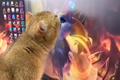 猫咪捣乱防电攻略：电脑安全新招大揭秘