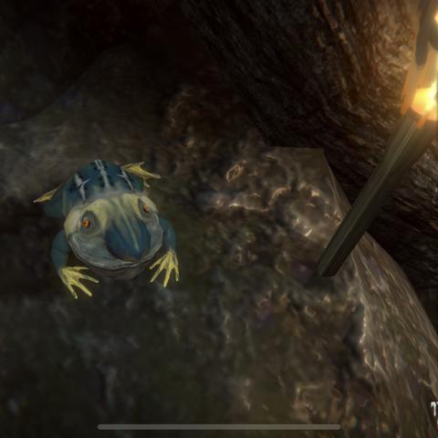 《帕斯卡契约》全青蛙（赫吉）攻略秘籍，解锁隐藏宝藏新路径