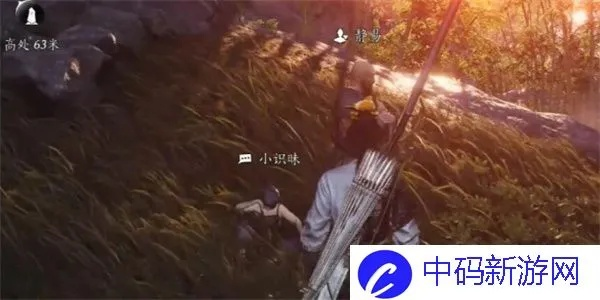 燕云十六声龚格结交技巧，对话攻略深度解析