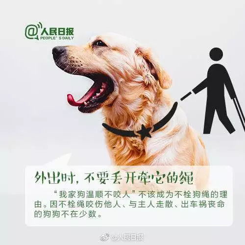 狗撞人司机被判次责引热议：网友热议，冤不冤？责任如何界定？
