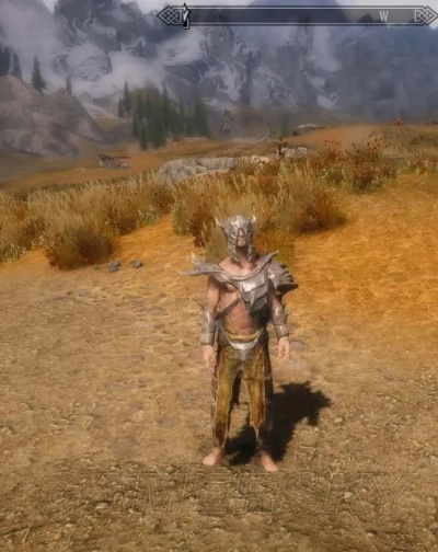 《上古卷轴5》武器护甲详尽图鉴，宝物宠物一览攻略宝典