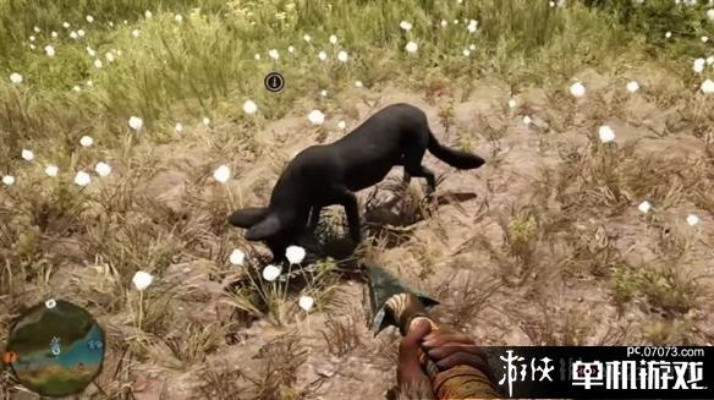 《孤岛惊魂原始杀戮》动物图鉴：揭秘生存秘籍属性解析大全