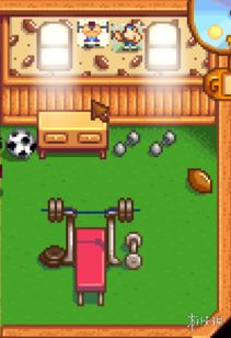 《星露谷物语》全角色婚配秘籍：解锁幸福婚姻新攻略