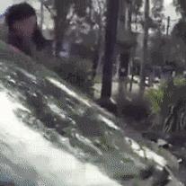 悉尼女神试穿自创内衣品牌，火辣照曝光引热议