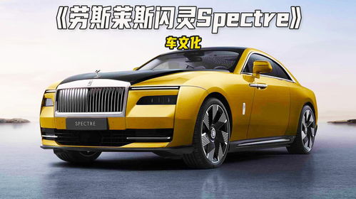 劳斯莱斯闪灵望尘莫及，LV豪车售价533万创纪录