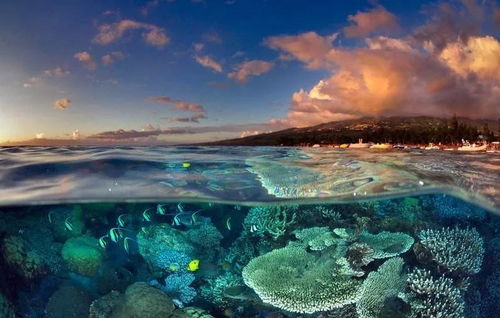 斯图尔特岛的彩虹桥藏着2025跳岛捷径？探秘者必看地形诡计！