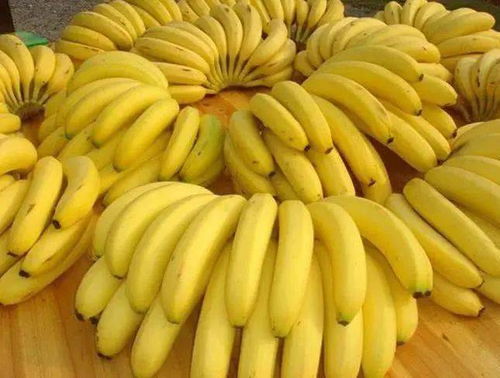 国产香蕉销量之谜：揭秘大型商超少见的背后真相