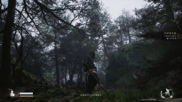 《黑神话：悟空》NS2平台独家曝光，揭秘全新游戏体验！