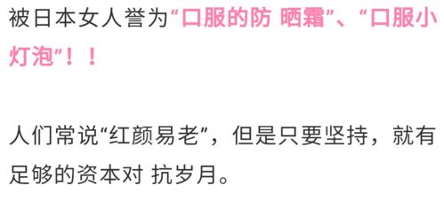 杠上花：解锁辩论艺术，双人成刑必备秘籍