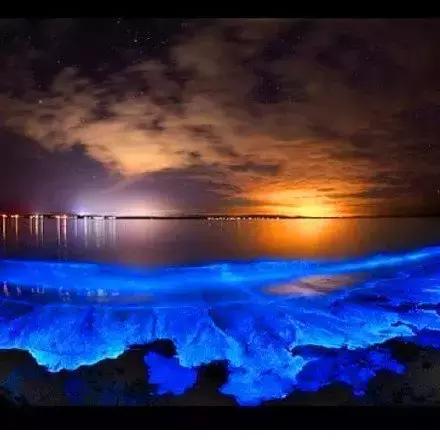 《星砂岛》2月12日EA开启，沉浸慢生活，体验田园新风尚