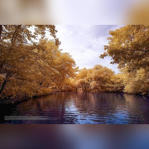 《公园》剧情全解析：深度攻略解锁新视角