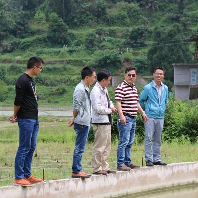 快速体验QQ农场，秒进在线版新玩法揭秘