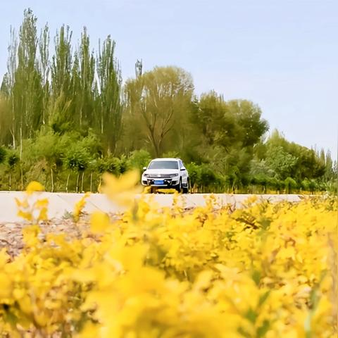 星绘友晴天手游首曝：揭秘全新上线时间及亮点揭晓