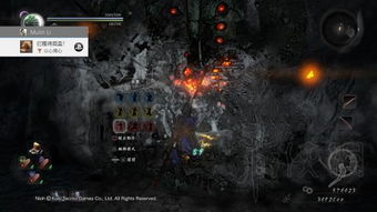 《仁王3》白金攻略全奖杯解锁秘籍，高效路线指引攻略解析