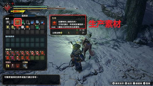 爵银龙挑战攻略：崛起秘境，大小金技巧全解析